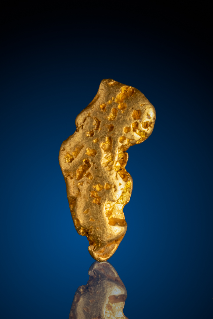 (image for) Rare Elongated River Worn Gold Nugget - American River, CA - 2.05 grams